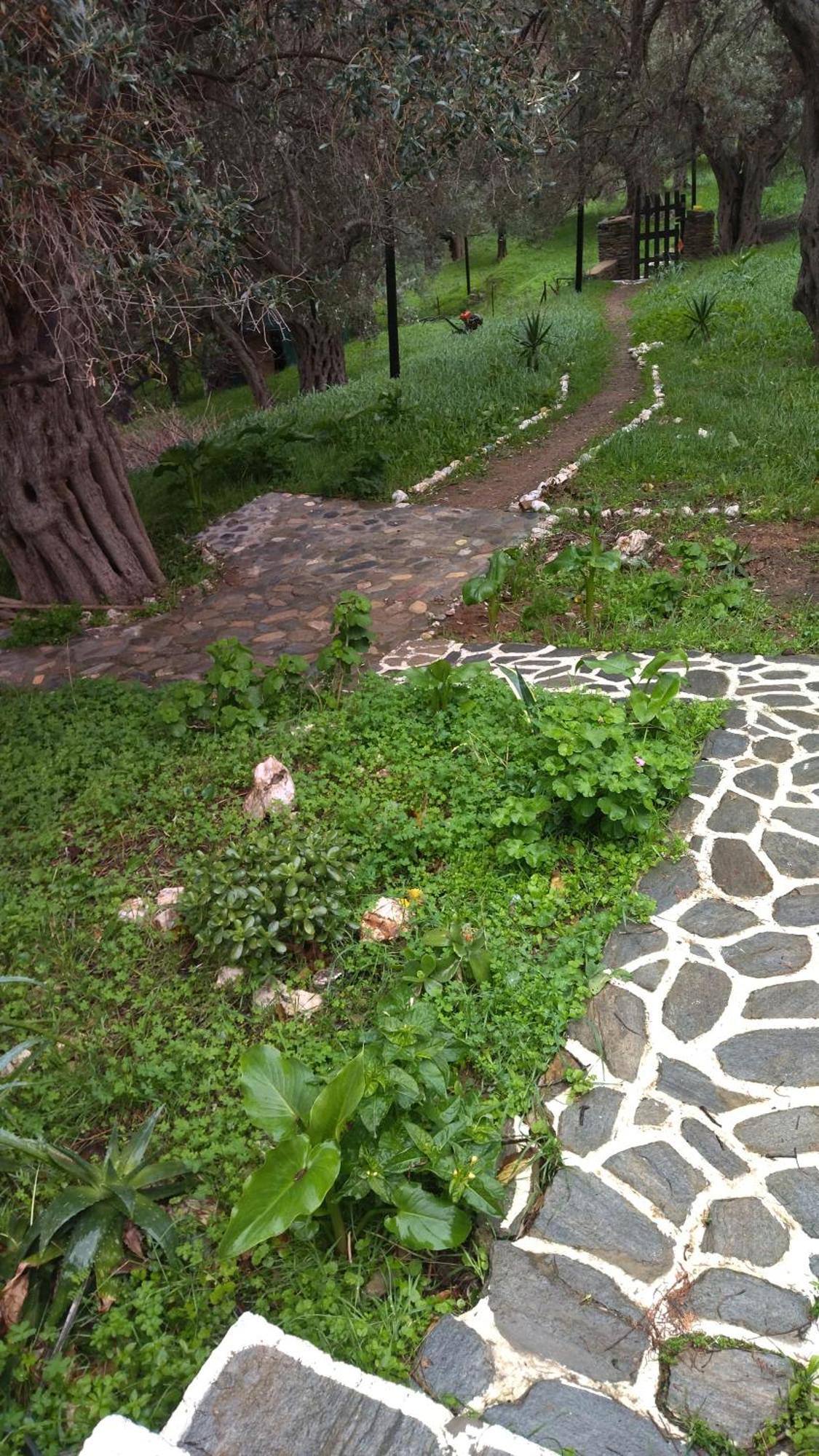 Summer Sunrise Andros Apartment Ngoại thất bức ảnh